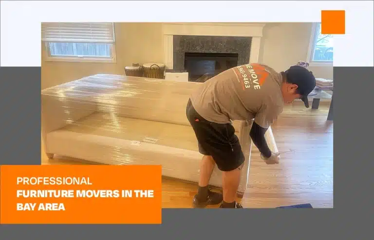 Professional Furniture Movers in the Bay Area