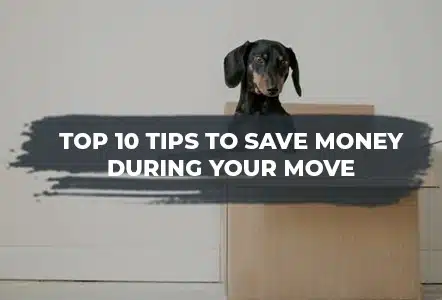 Save Money During Your Move