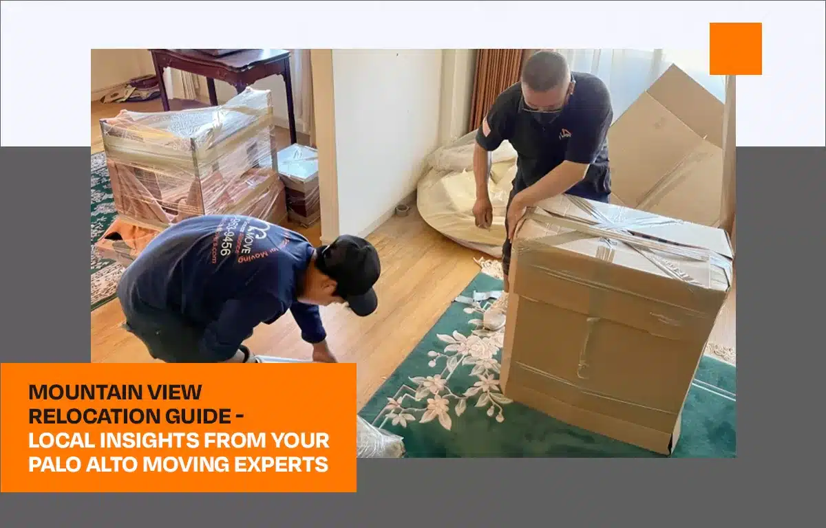 Mountain View Relocation Guide